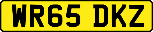 WR65DKZ