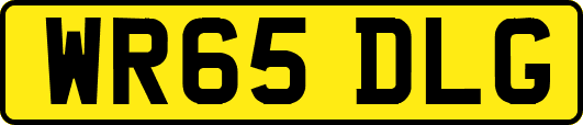 WR65DLG