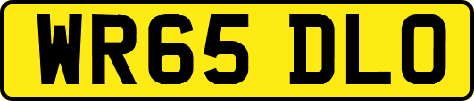 WR65DLO