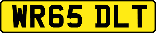 WR65DLT