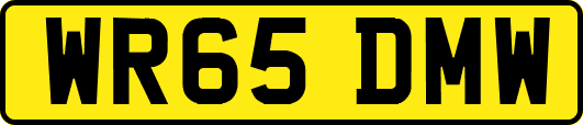 WR65DMW