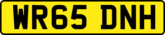 WR65DNH