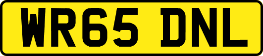 WR65DNL