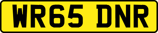 WR65DNR