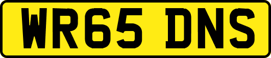 WR65DNS