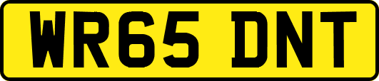WR65DNT