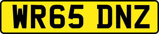 WR65DNZ