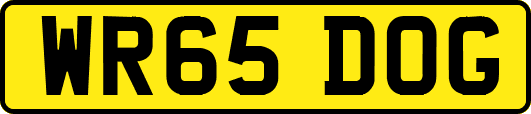 WR65DOG