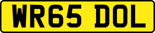 WR65DOL