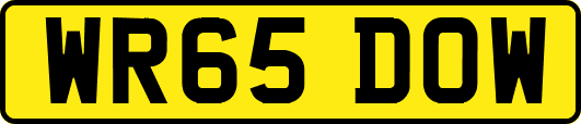 WR65DOW