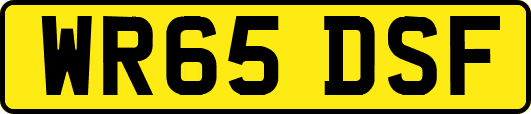 WR65DSF