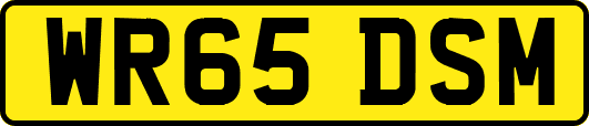 WR65DSM