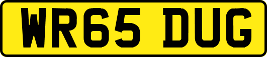 WR65DUG
