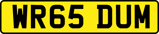WR65DUM