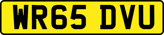 WR65DVU
