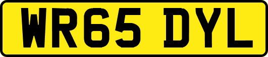 WR65DYL