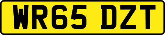 WR65DZT
