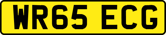 WR65ECG