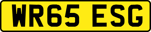 WR65ESG
