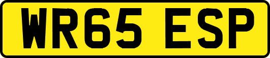 WR65ESP