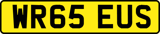 WR65EUS