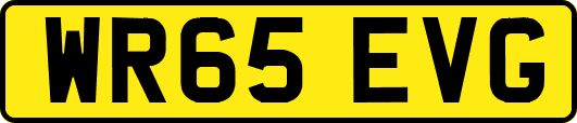 WR65EVG
