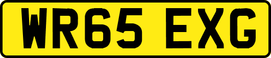 WR65EXG