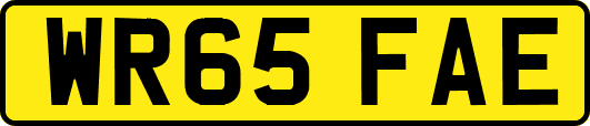 WR65FAE