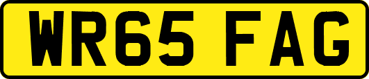 WR65FAG
