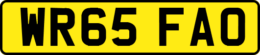 WR65FAO