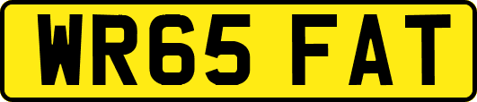 WR65FAT