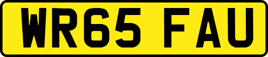 WR65FAU