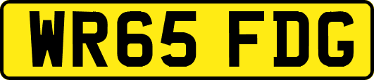 WR65FDG