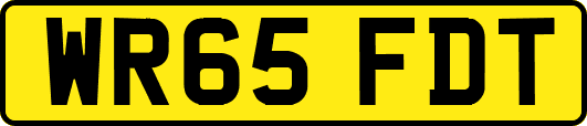 WR65FDT