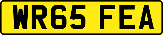 WR65FEA