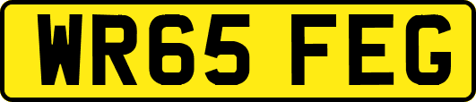 WR65FEG