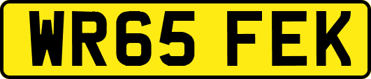 WR65FEK