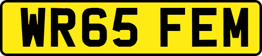 WR65FEM