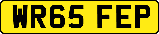 WR65FEP