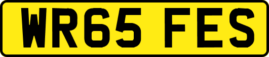 WR65FES