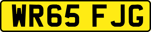 WR65FJG