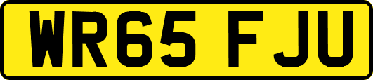 WR65FJU