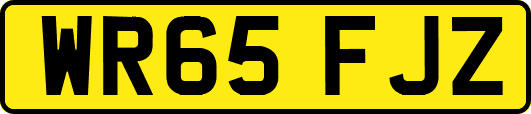 WR65FJZ