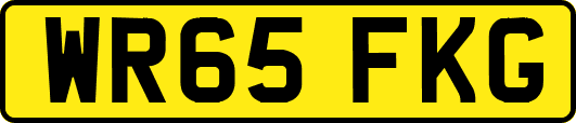 WR65FKG