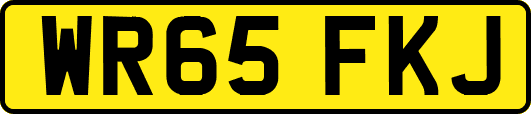 WR65FKJ