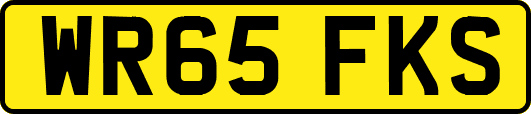 WR65FKS