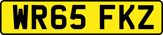WR65FKZ