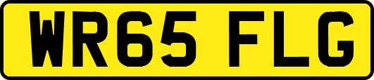 WR65FLG