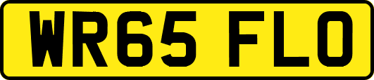 WR65FLO