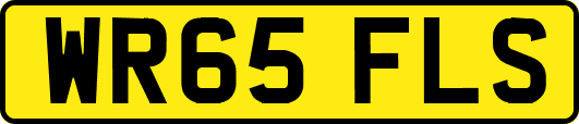 WR65FLS